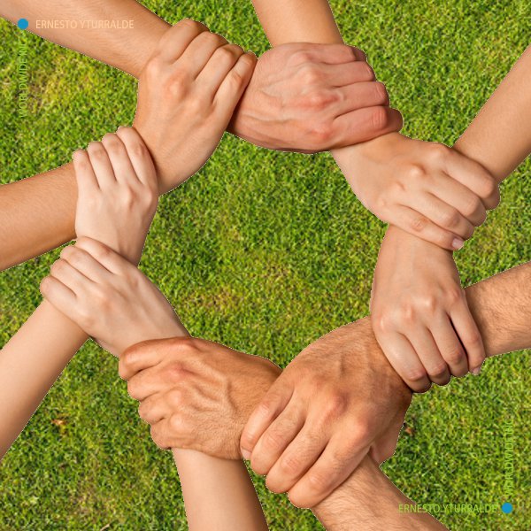Honduras Talleres de Cuerdas Bajas | Team Building Empresarial para el desarrollo de equipos de trabajo